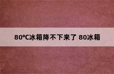 80℃冰箱降不下来了 80冰箱